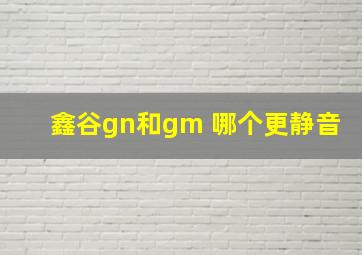 鑫谷gn和gm 哪个更静音